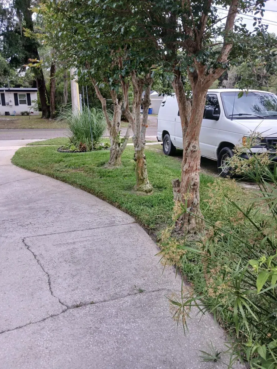 Curved driveway beside grassy verge and trees, with a white van parked on the right.