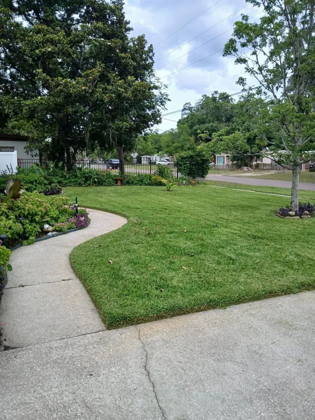 Curved concrete walkway beside a green lawn, flower bed, and trees in a quiet suburban yard