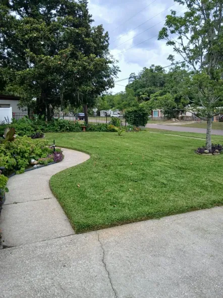 Curved concrete walkway beside a green lawn, flower bed, and trees in a quiet suburban yard