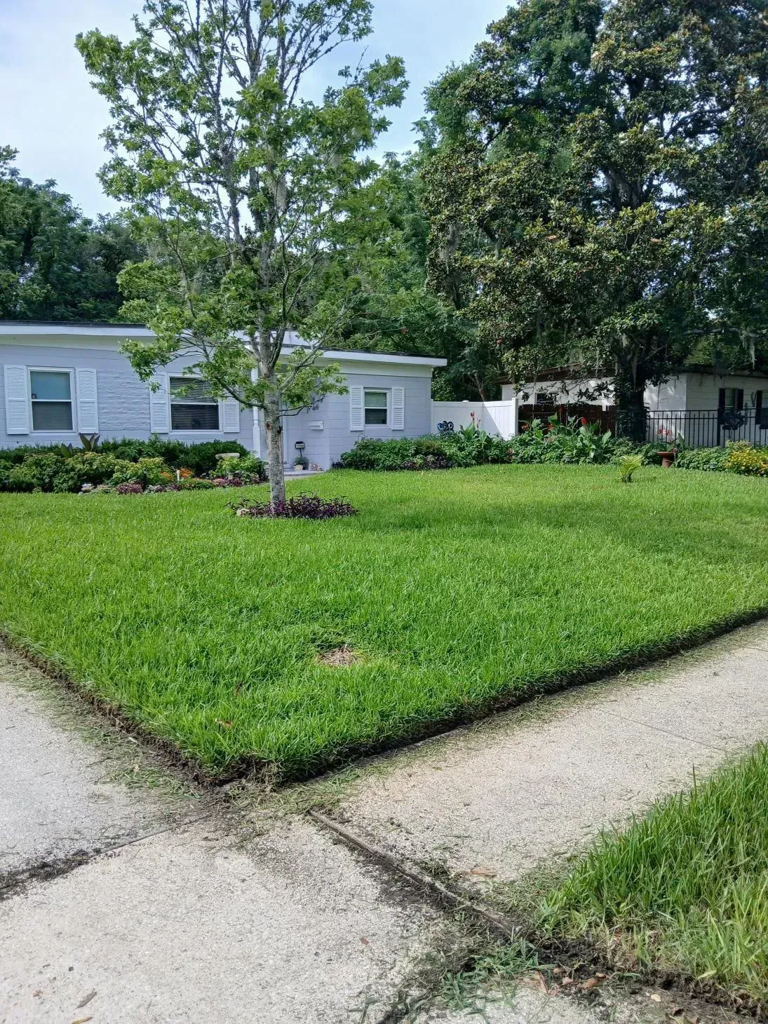 Suburban house with a green lawn, tree, and sidewalk under a partly cloudy sky