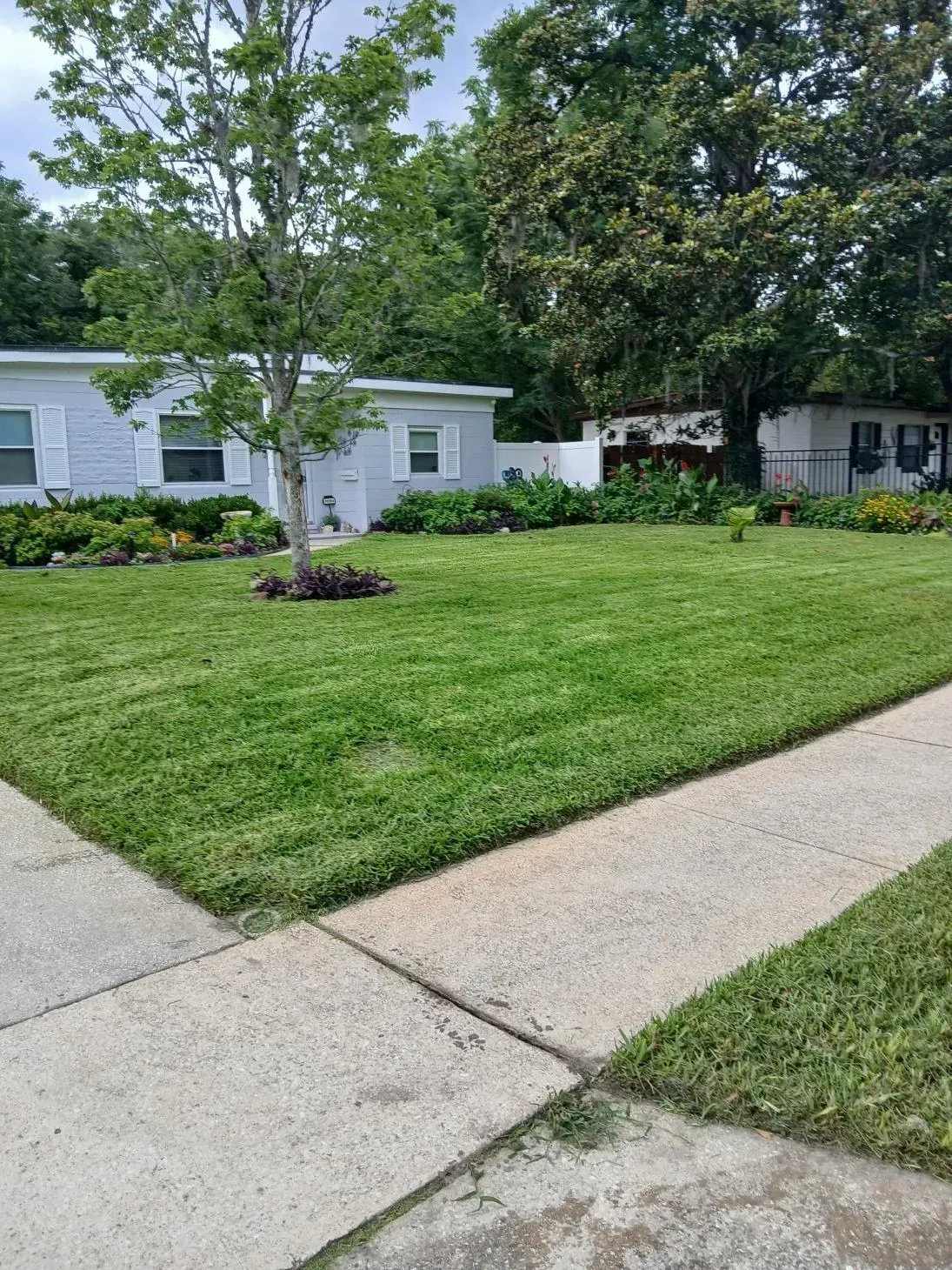 Suburban house with a green lawn, small tree, and concrete sidewalk in front.
