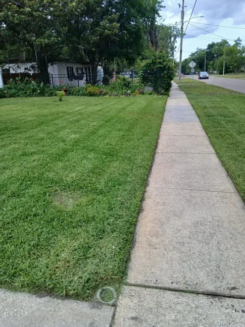 Sidewalk beside a grassy lawn, with trees, a wall, and a road stretching into the distance.