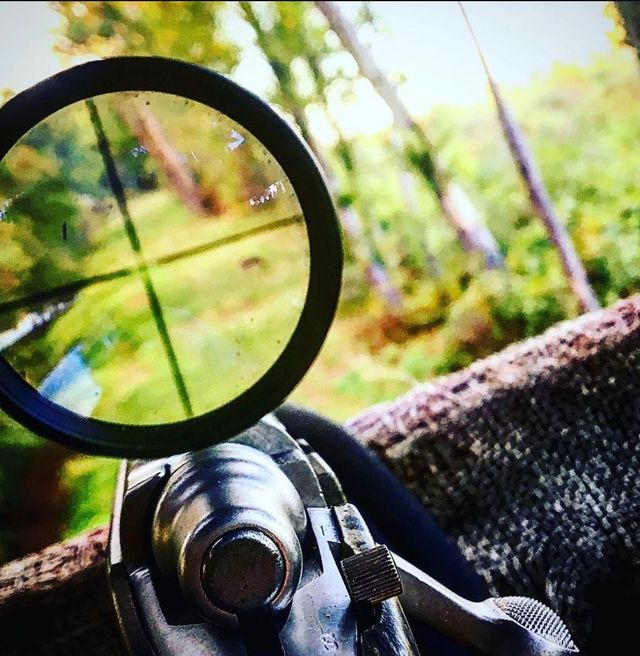 Close-up of a rifle scope aimed at a bright, green outdoor scene.