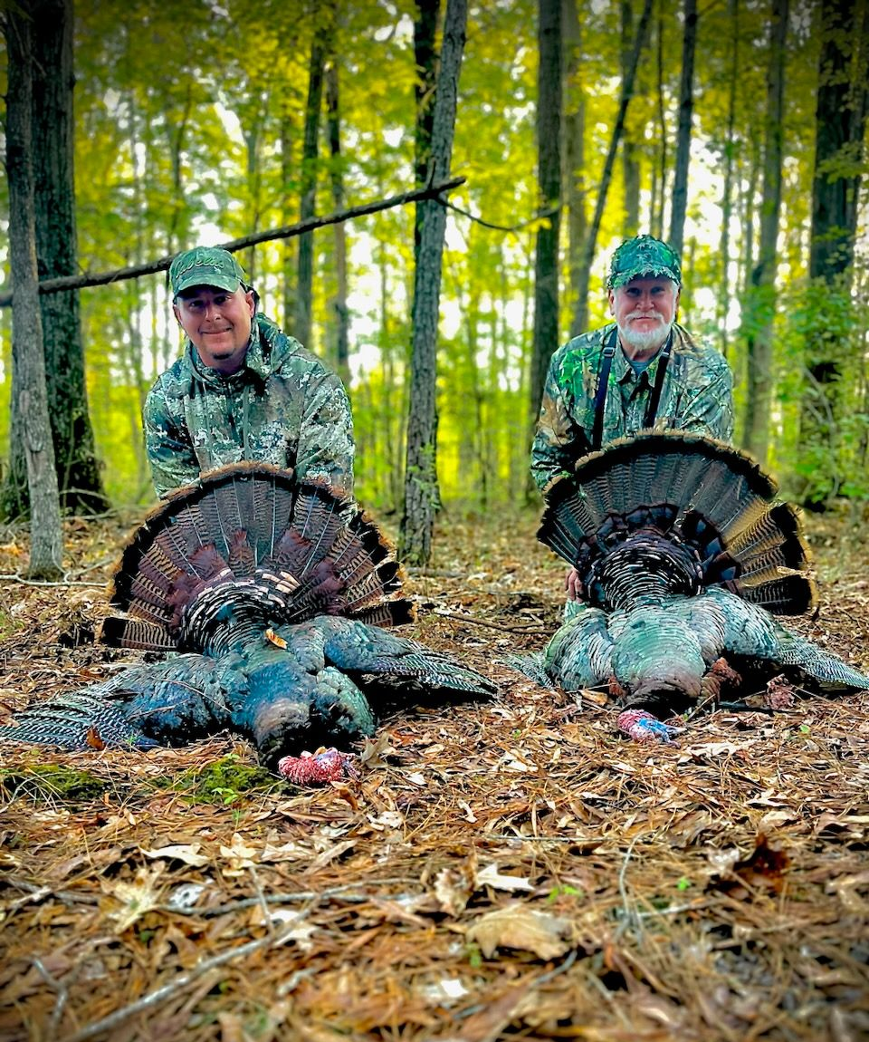 Two hunters kneel behind two large wild turkeys in a wooded forest.