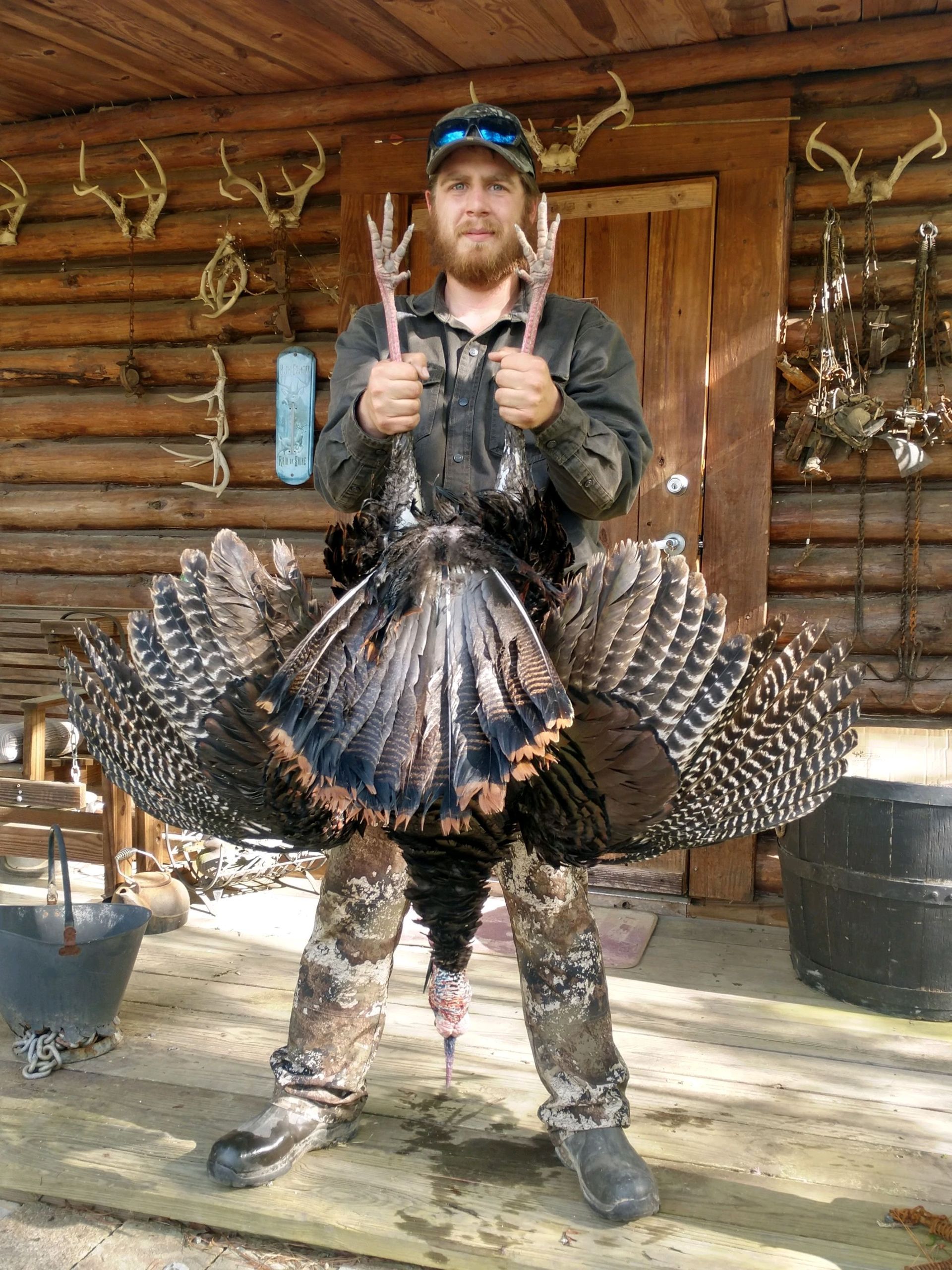 Guided whitetail hunt in the North Carolina woods