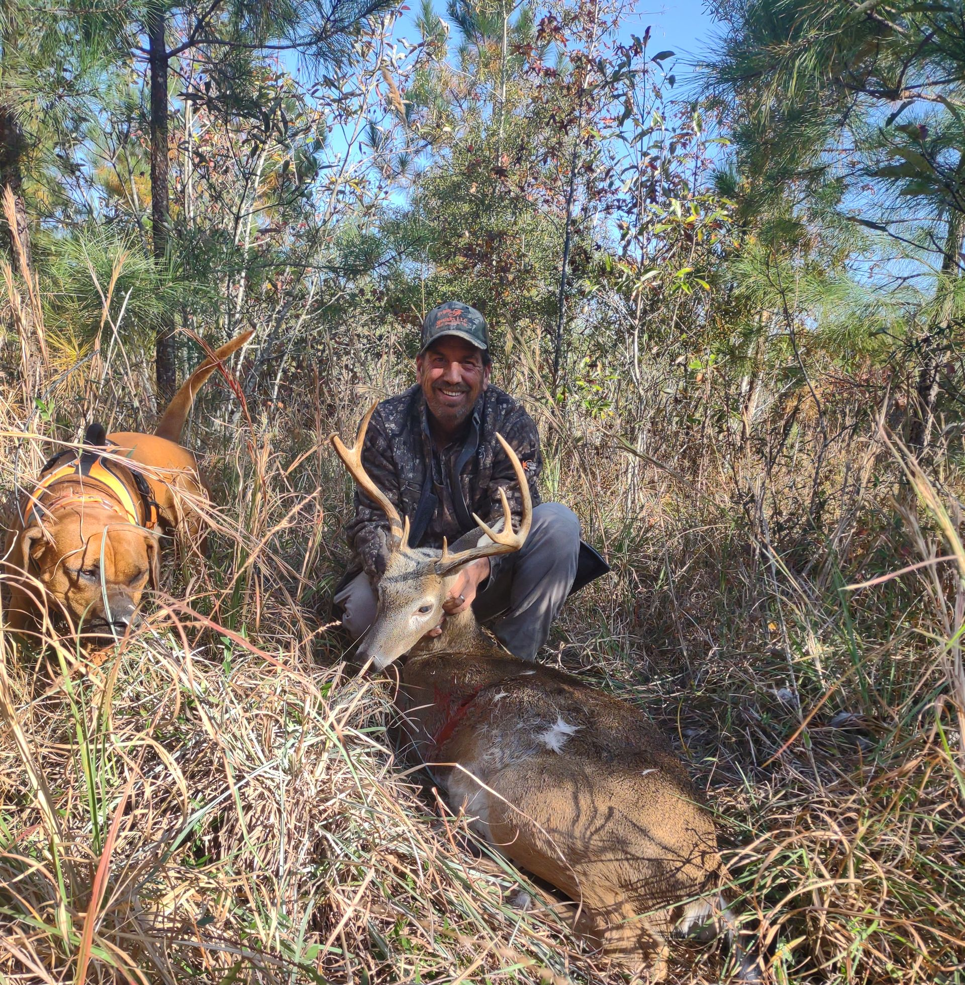Man kneels beside a deer in dry brush, with a brown dog nearby in a wooded area.