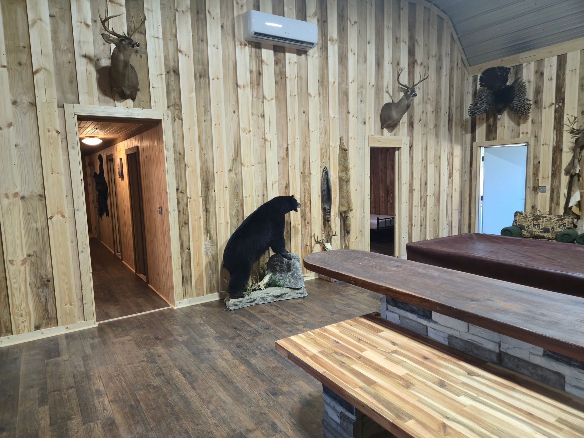 Black dog sitting on a stool in a rustic wooden room with benches and an open doorway