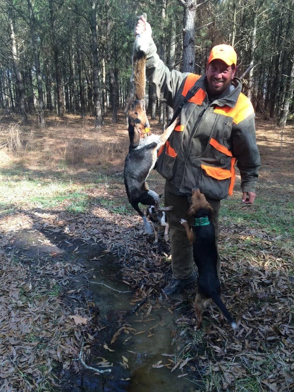 Hunter in orange vest and camo holding up a large black animal by the tail in a wooded area.
