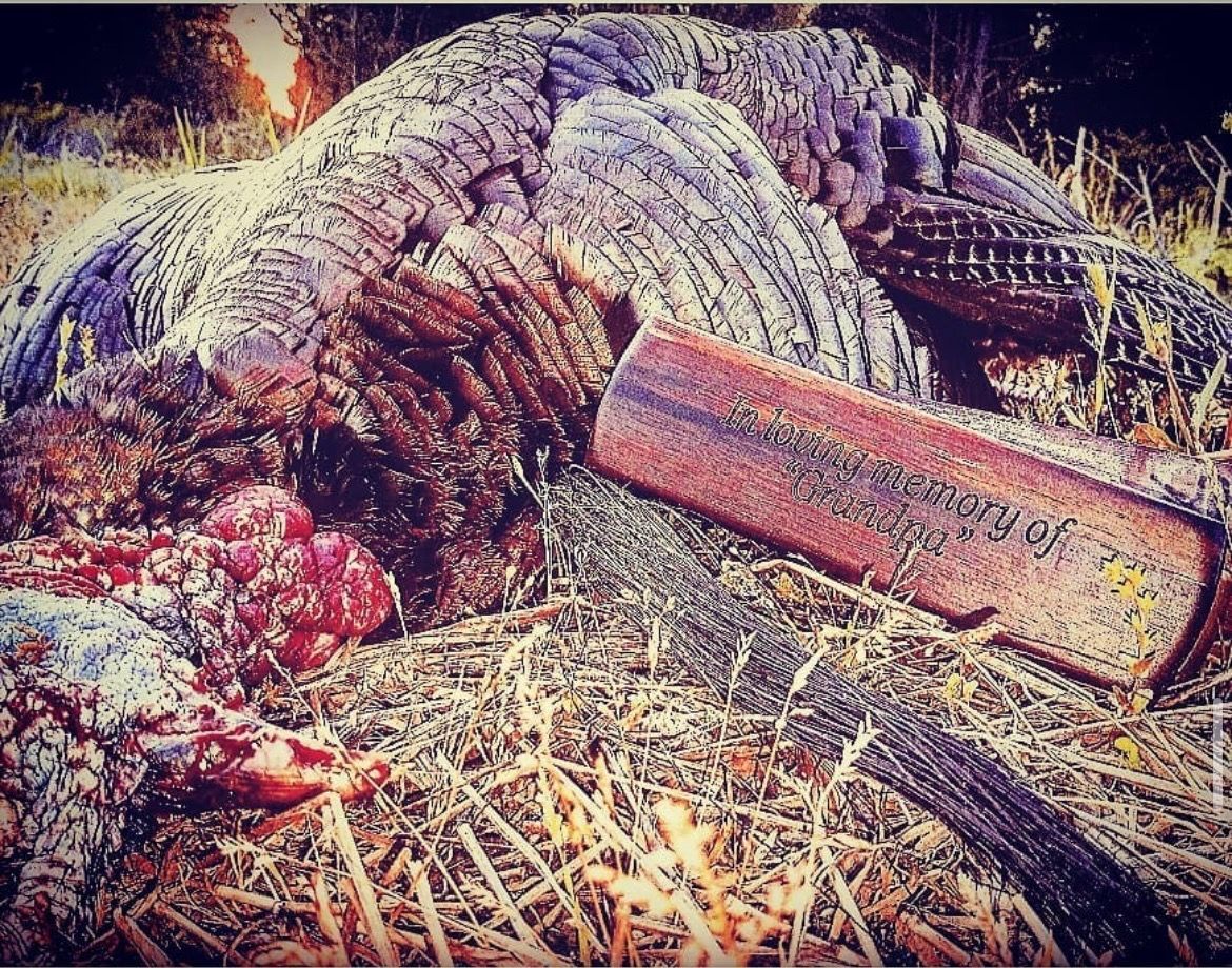 Close-up of a dead bird on straw beside a weathered red brick in a gritty outdoor scene