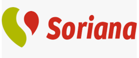IMAGEN DE LA PLANTILLA