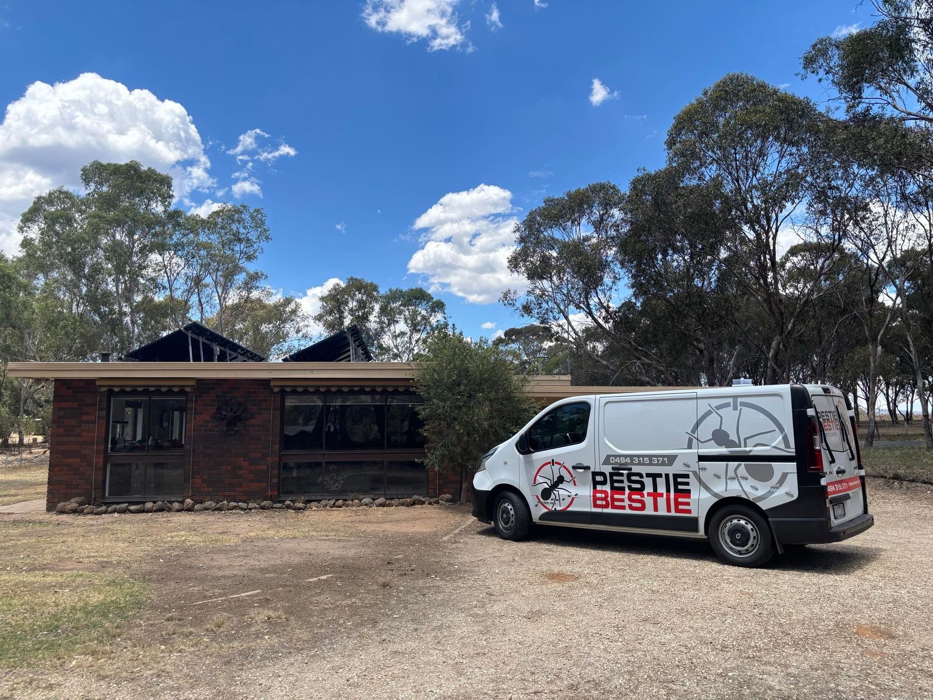 why Shepparton homes are prone to pests