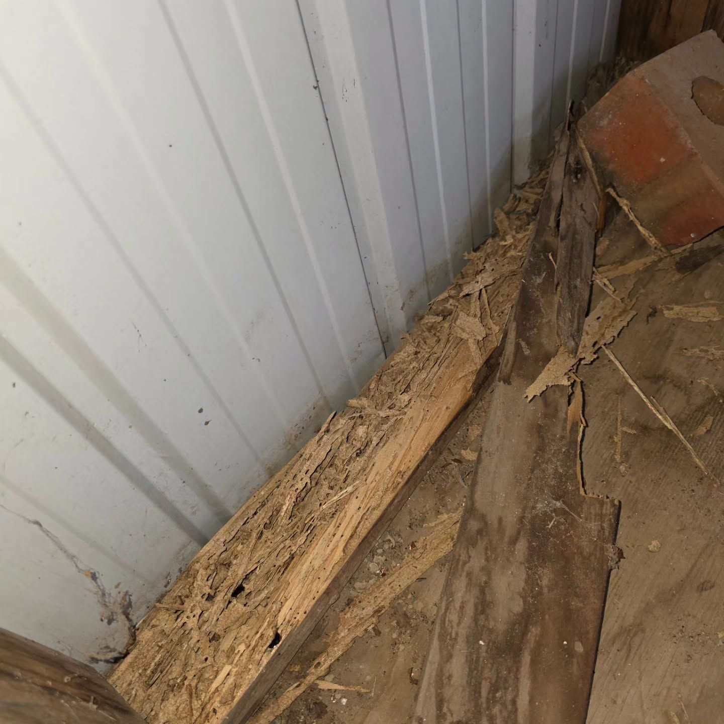 Termite Damaged Wooden Beam Against Metal Siding — Pestie Bestie Pest Control In Shepparton, VIC