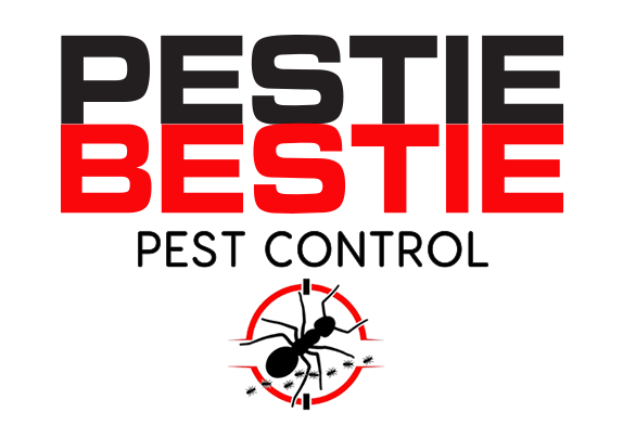Pest Control in Shepparton Pest Control in Shepparton