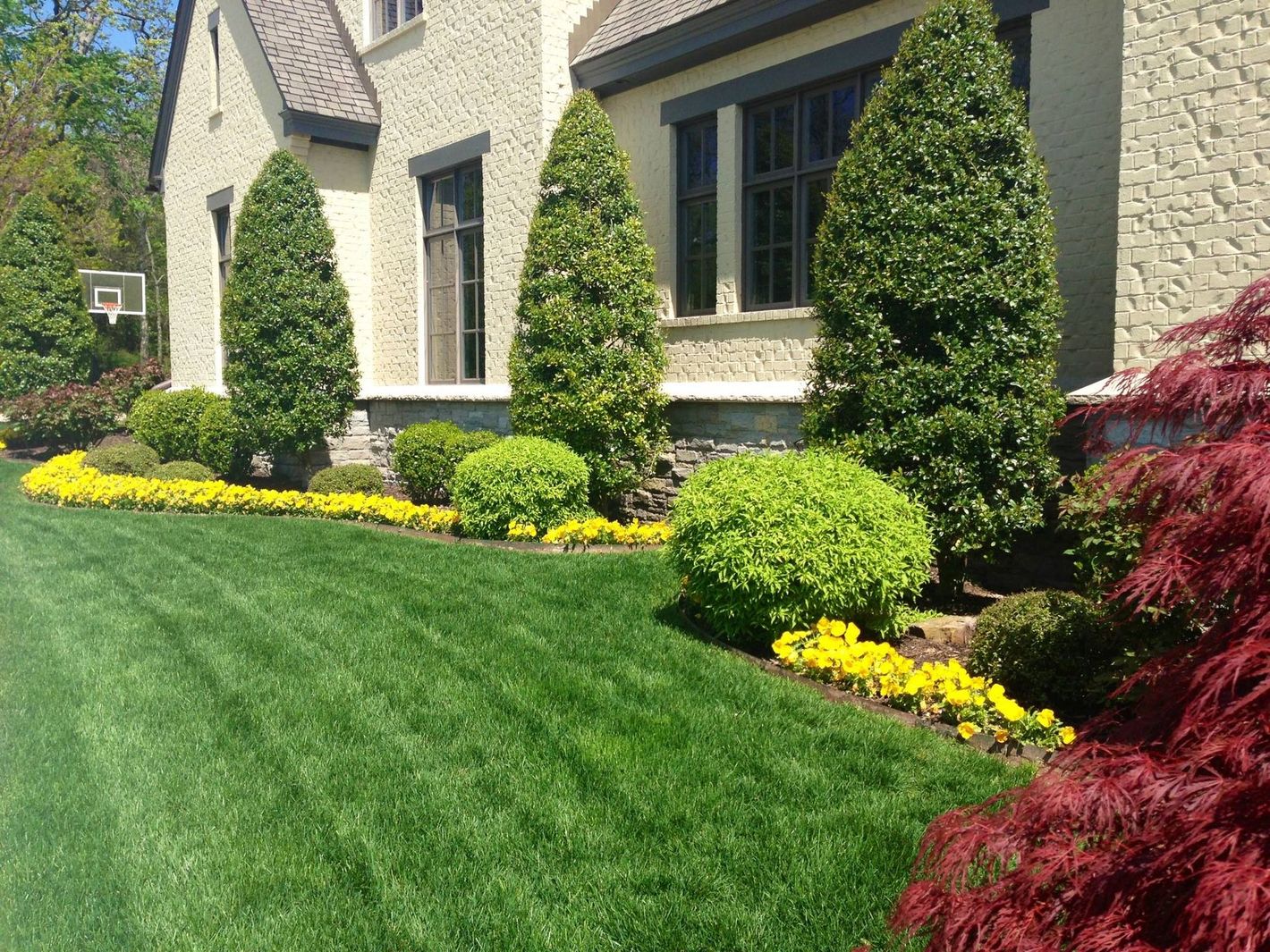 A modern stone house with a lush green lawn, sculpted evergreen shrubs, and bright yellow flower beds.