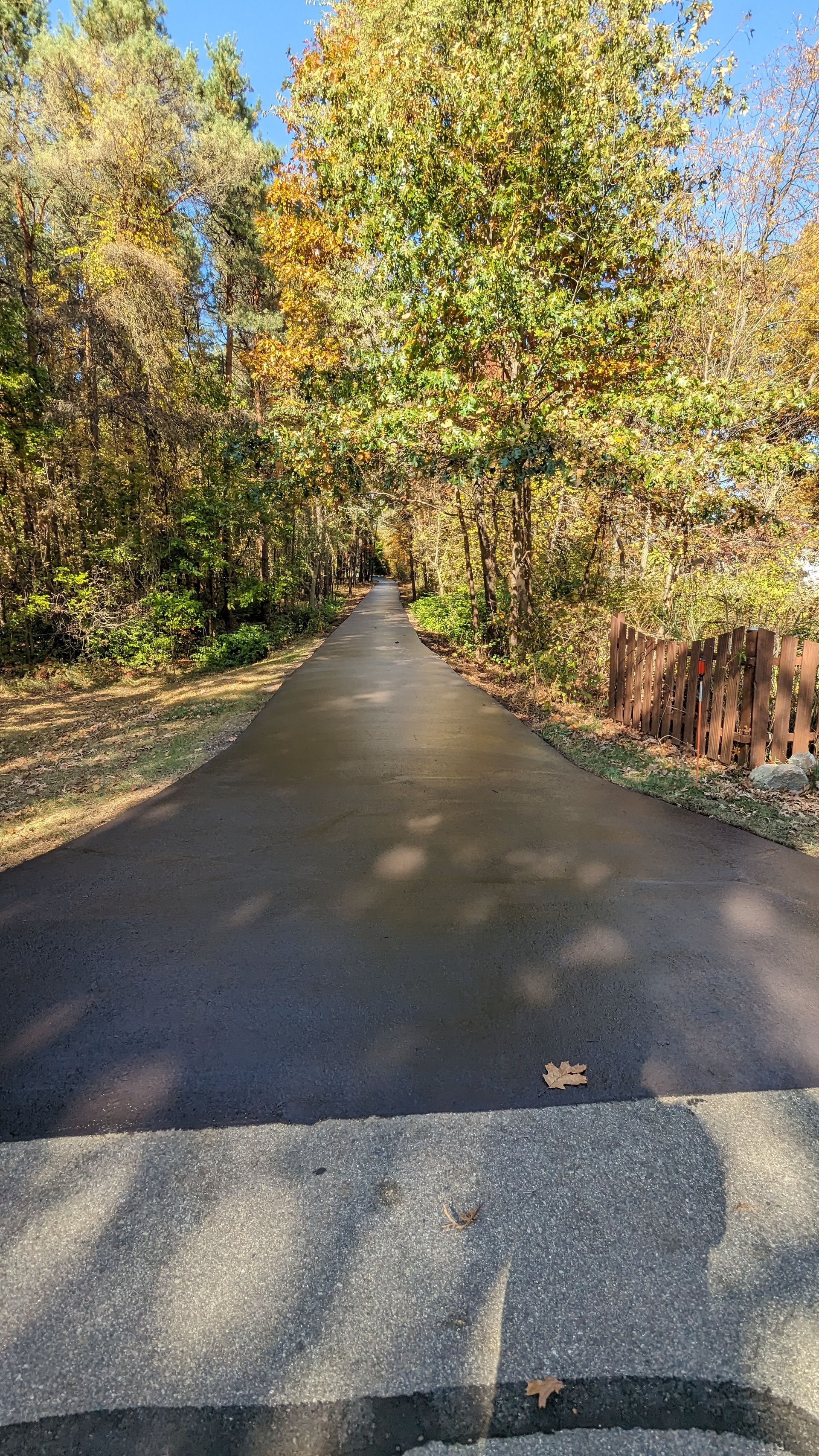 Paved path through autumn trees, under a blue sky, leading into the distance.