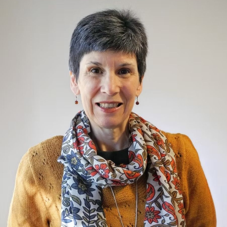 Dr Bronwen Howson