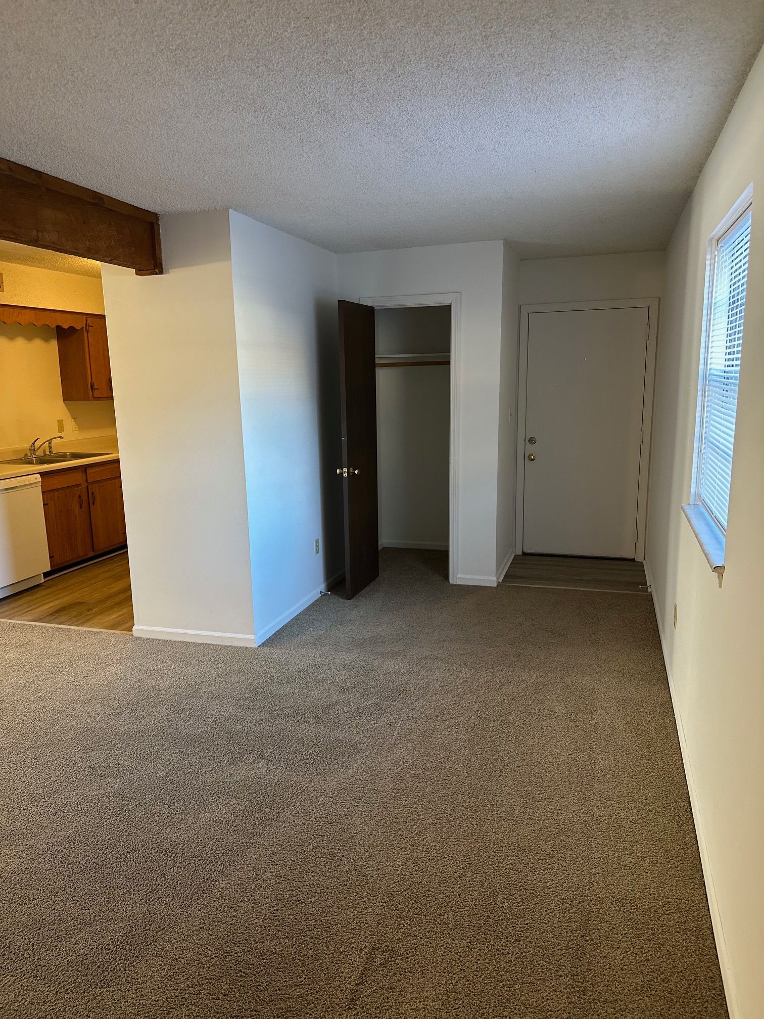 Empty carpeted room with open closet, white walls, and a window on the right.