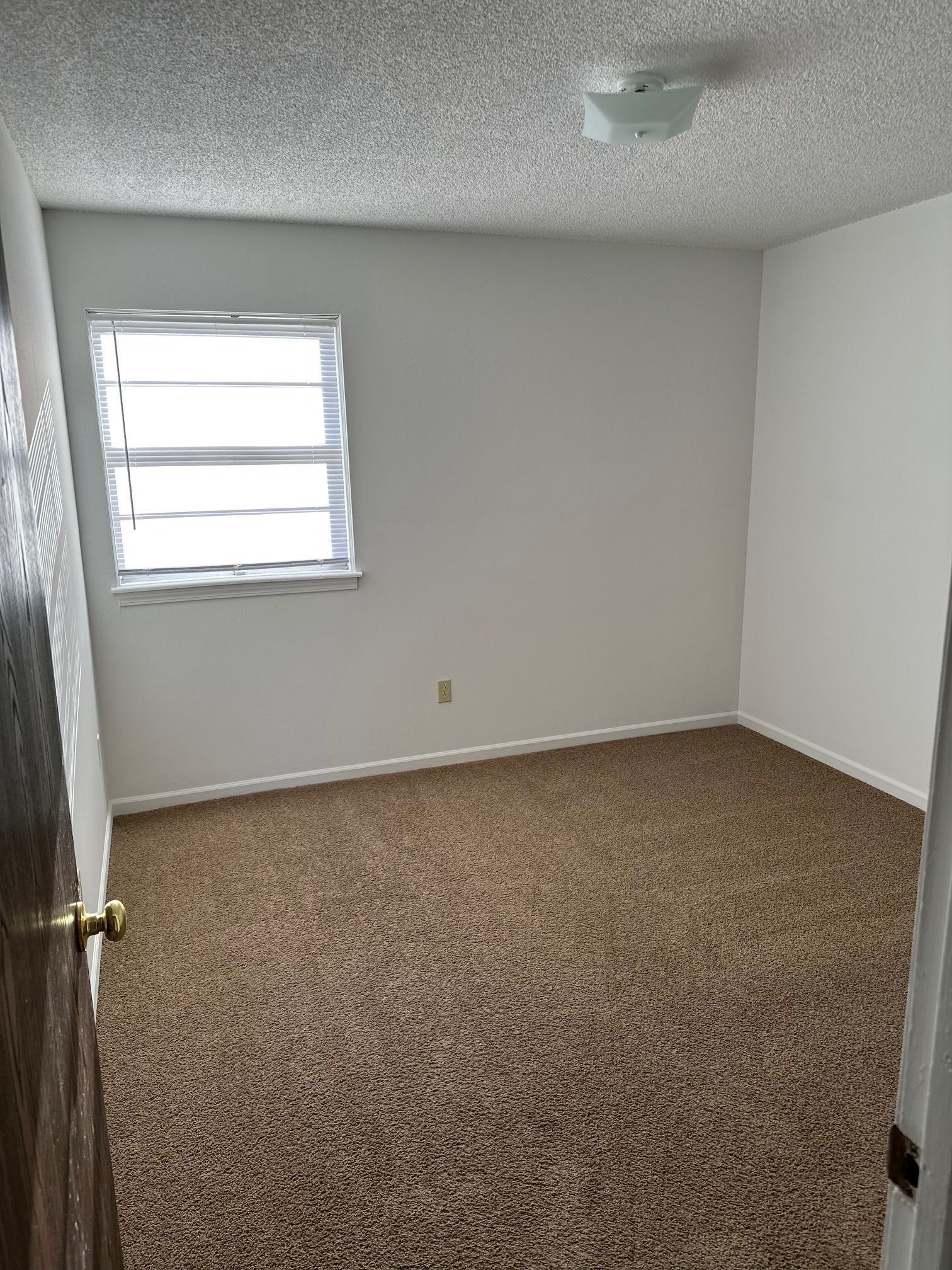 Empty carpeted bedroom with white walls, a window, and a ceiling light.
