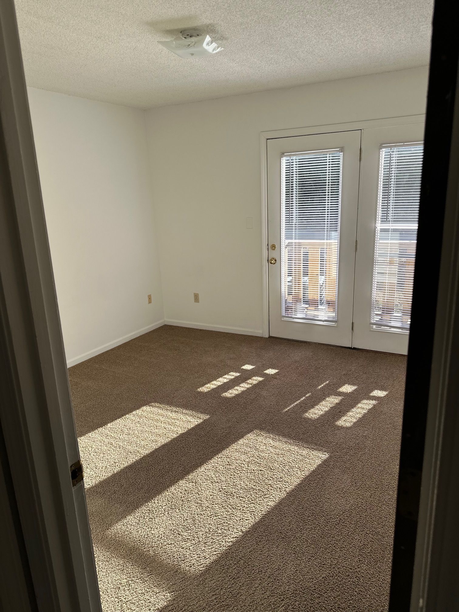 Empty beige room with carpet, white walls, and sunlight streaming through glass doors.