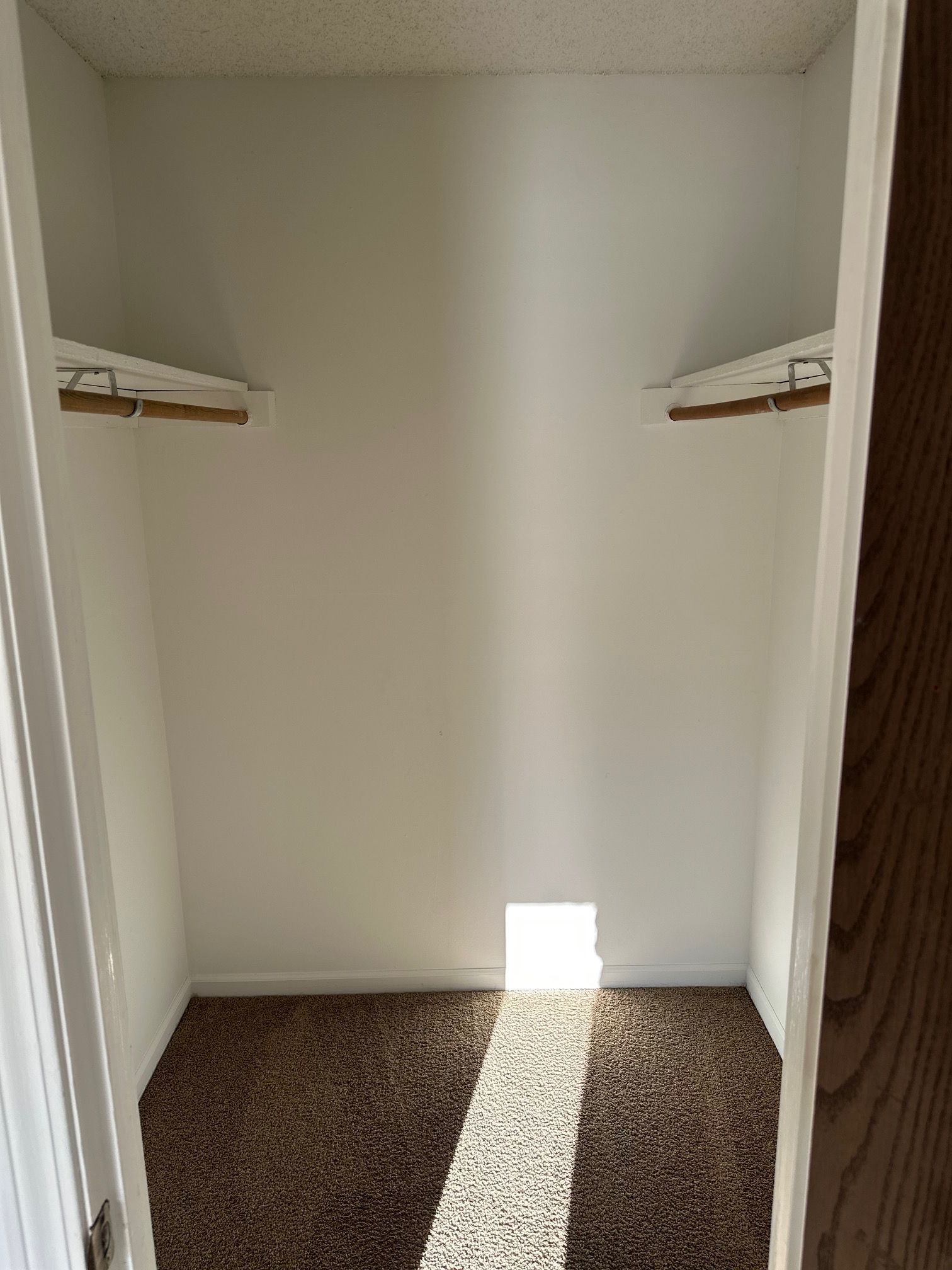Empty walk-in closet with white walls, brown carpet, and shelves on both sides.