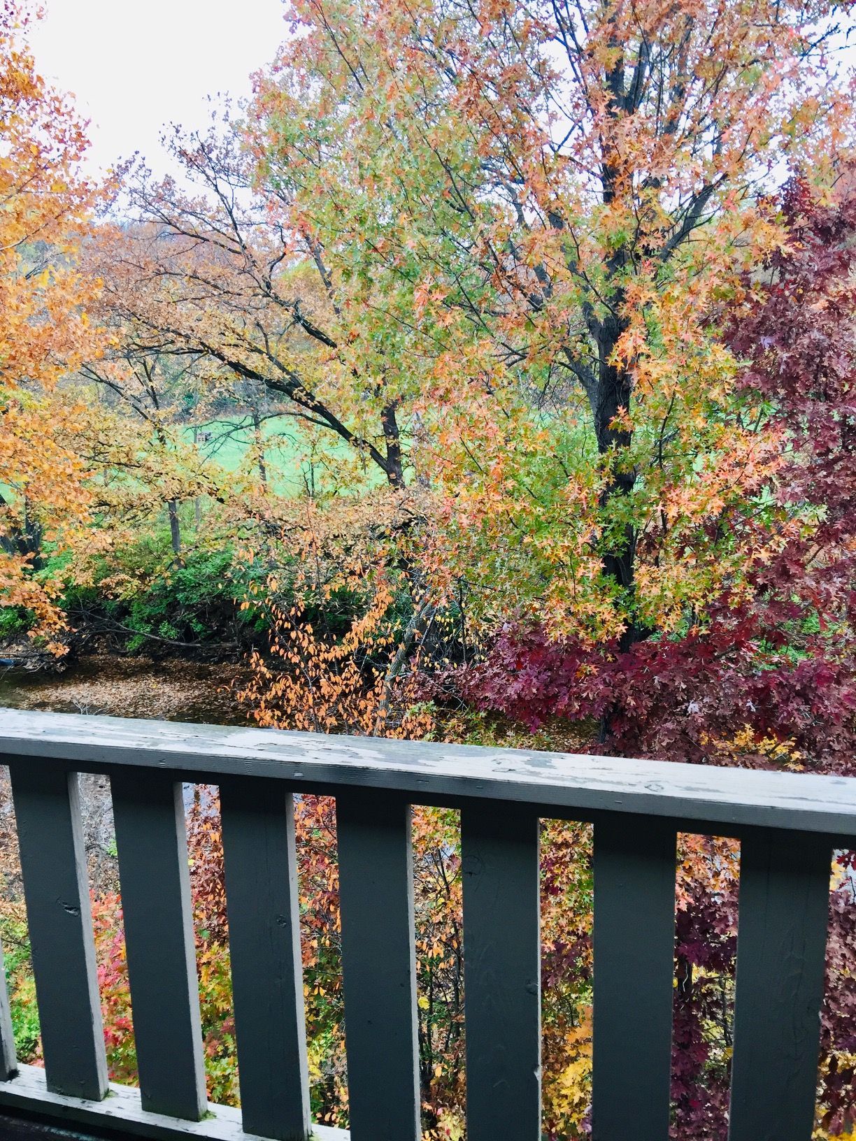 Colorful autumn trees beyond a dark railing, with a calm river in the background.