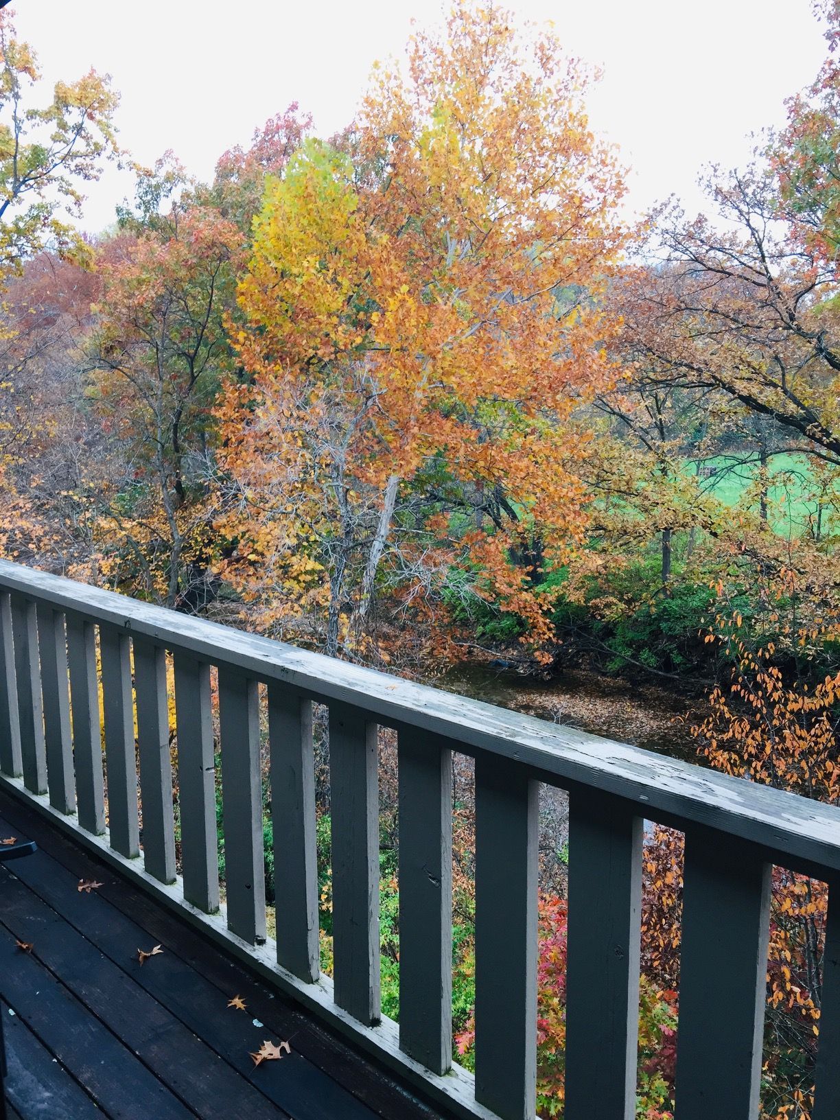 Wooden deck railing overlooking autumn trees with orange and yellow leaves