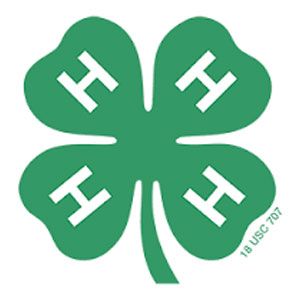 4H Club