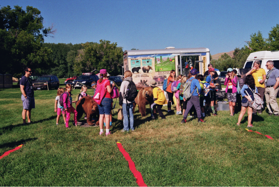 Children with llamas and adults in grassy field. Trailer with bear mural in background.