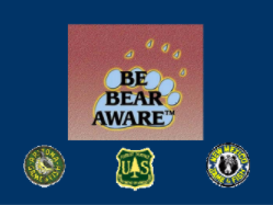 About Be Bear Aware Campaign Powerpoint