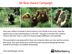 Bear Awareness PowerPoint