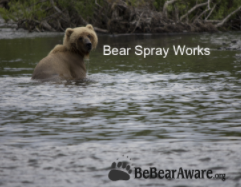 Bear Spray Works Powerpoint