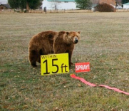 Bear Spray Course Layout & Order Form