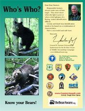 Who's Who? Know your Bears!