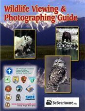 Wildlife Viewing and Photographing Guide brochure