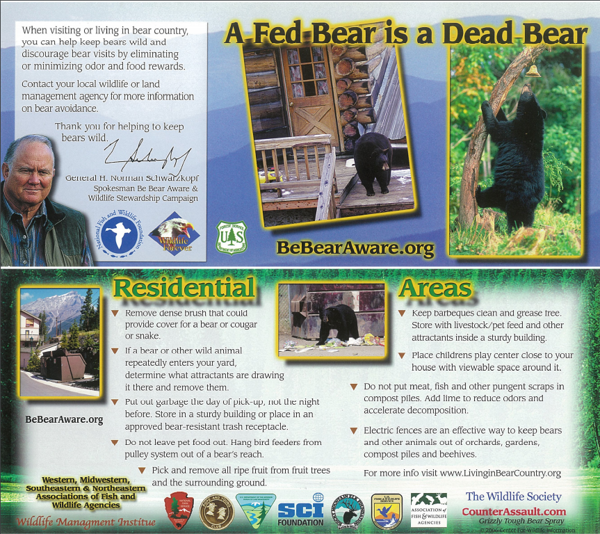 A Fed Bear is a Dead Bear