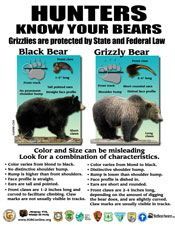 Hunters Bear ID Trailhead Sign