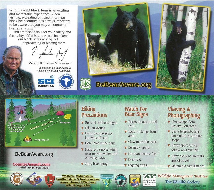 Hiking Precautions - Black Bear Flyer