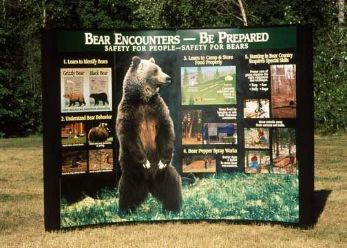 Black Bear / Grizzly Bear displays