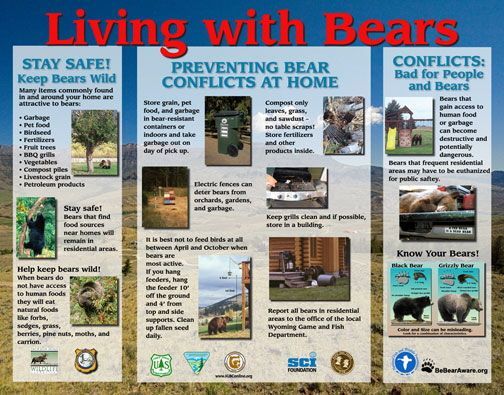 Living With Bears display