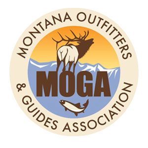 MOGA