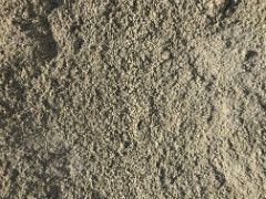 Close-up of loam image