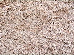 Close-up of wood chips image