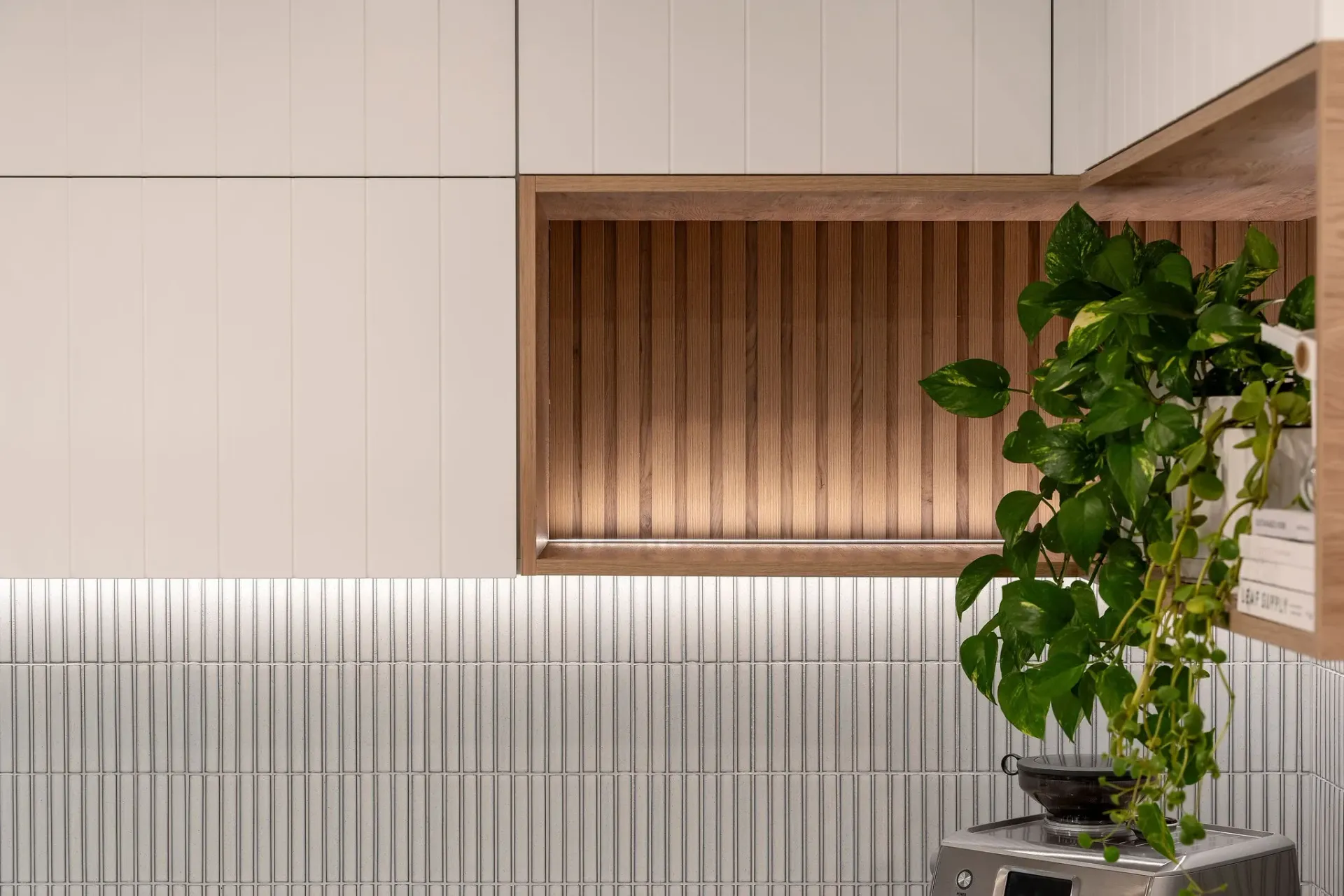 A kitchen with white cabinets and a potted plant on the counter.