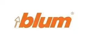 Blum logo in orange lowercase letters with a small arrow icon