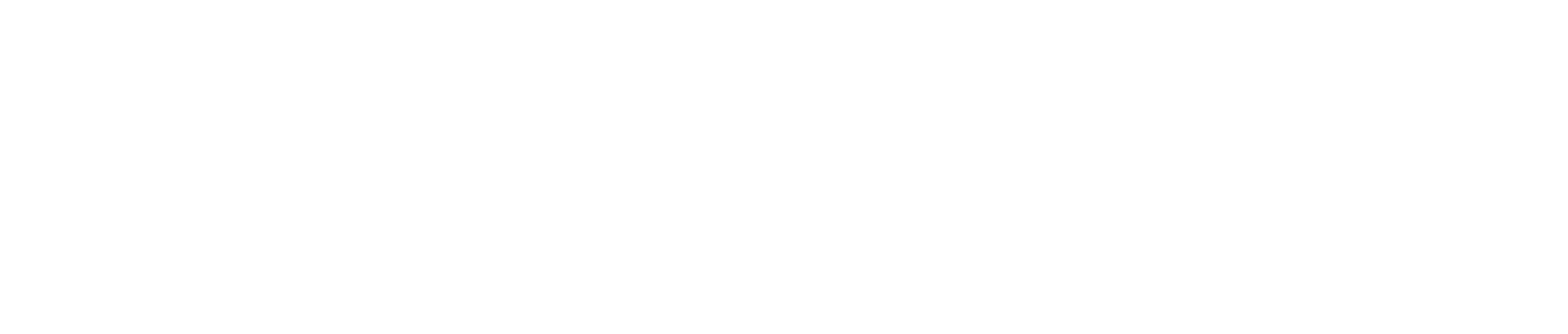 Blank white rectangle on a white background with a thin black border at the bottom edge