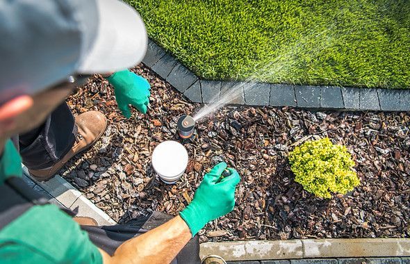 Person in green gloves spraying water on a garden bed with mulch and plants near a lawn