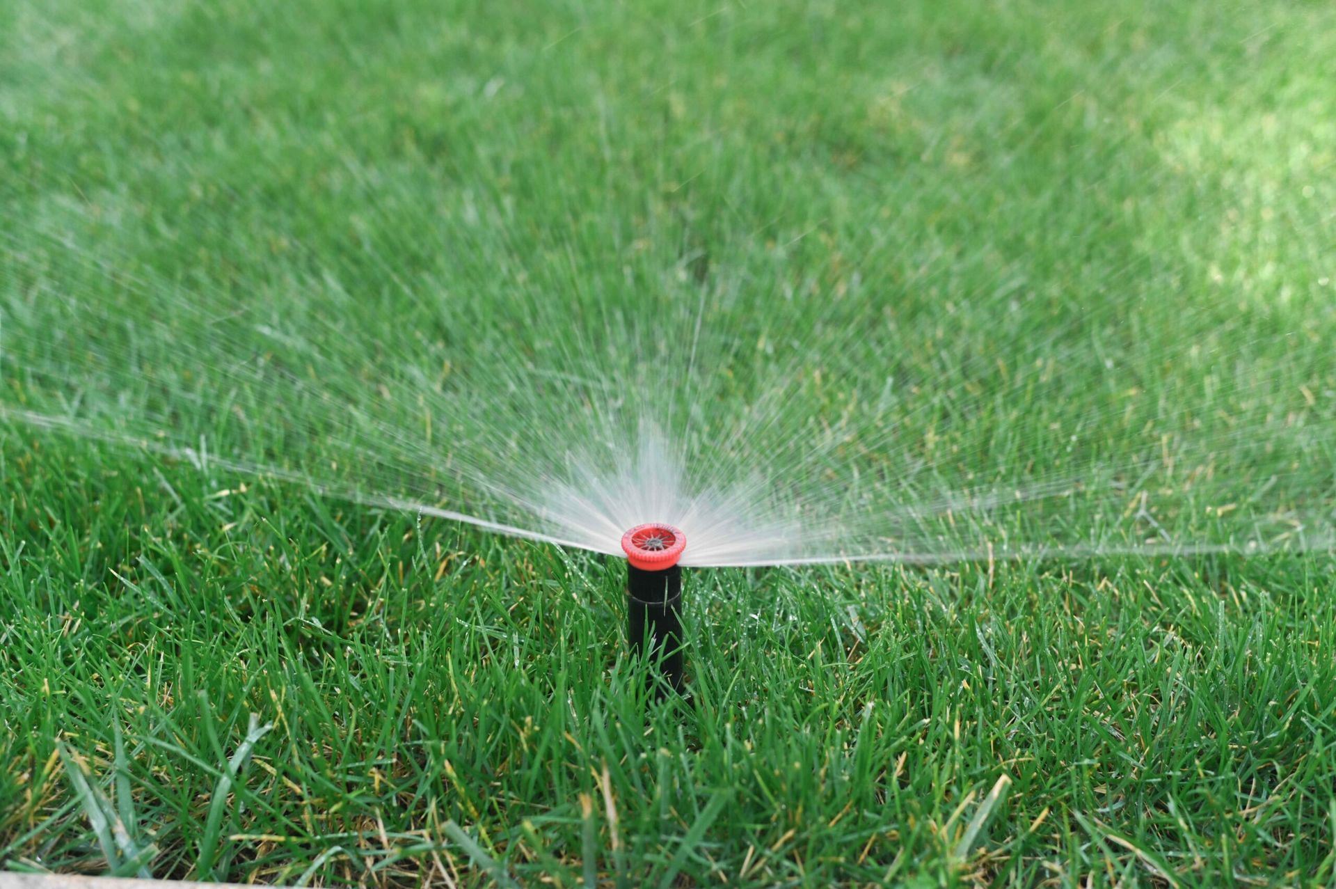 Sprinkler spraying water over a green lawn