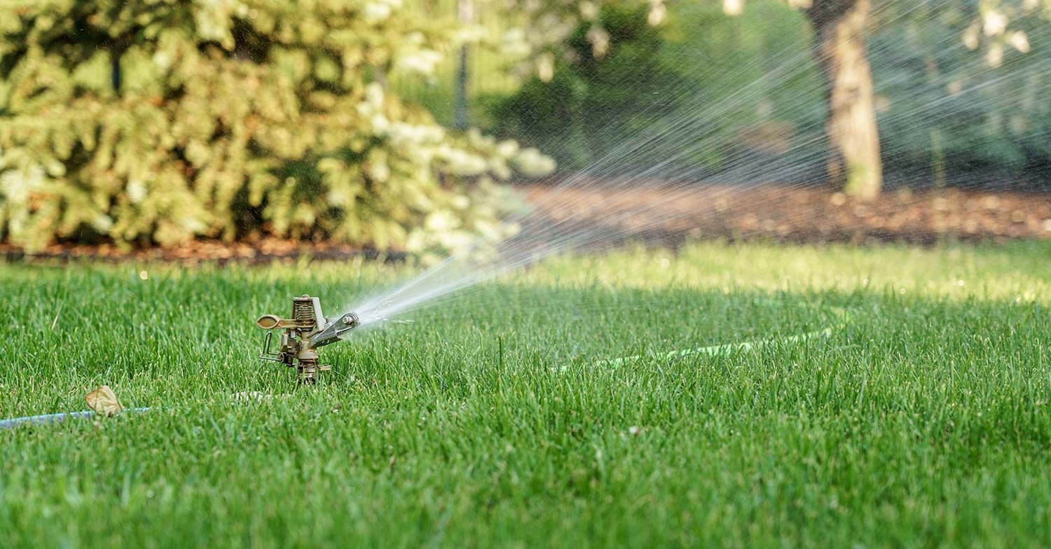 Sprinkler spraying water over a green lawn in a sunny yard