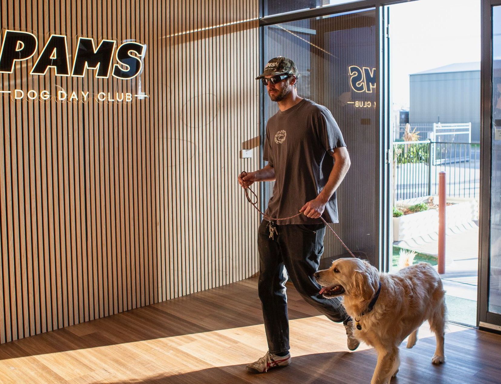 Doggy Daycare in Geelong Pams Dog Day Club