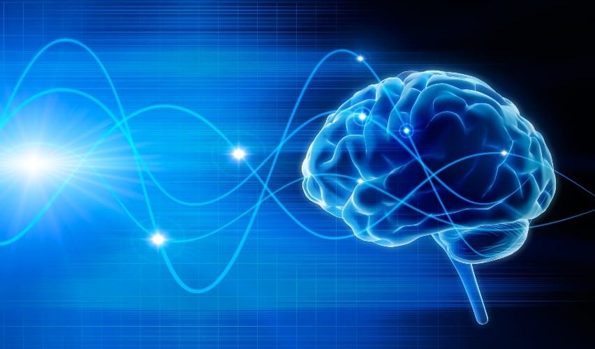 What are Brain Waves?
